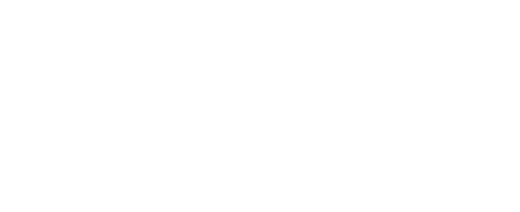 D.Ai
